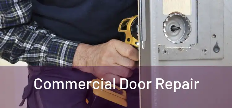 Commercial Door Repair