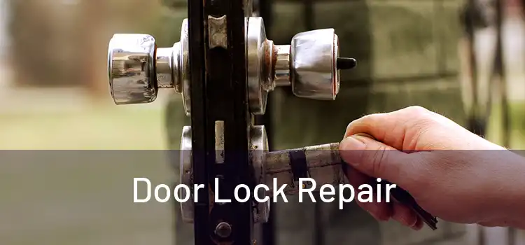 Door Lock Repair
