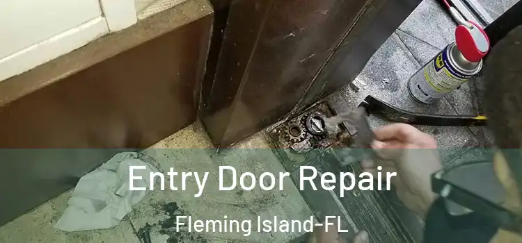 Entry Door Repair Fleming Island-FL